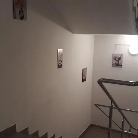 Casa Dobrescu Centura De Nord