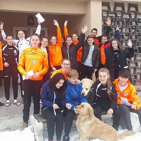 Casa Dobrescu Centura De Nord