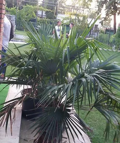 Casa Dobrescu Centura De Nord كرايوفا