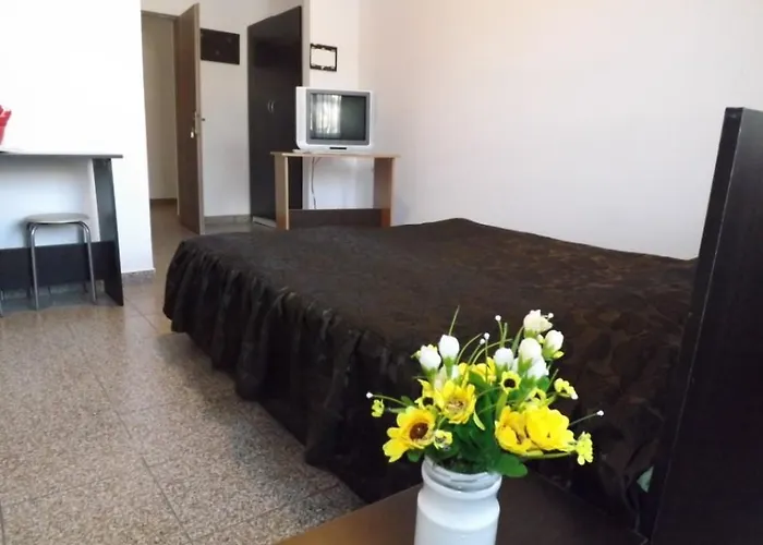 Casa Dobrescu Centura De Nord 3*