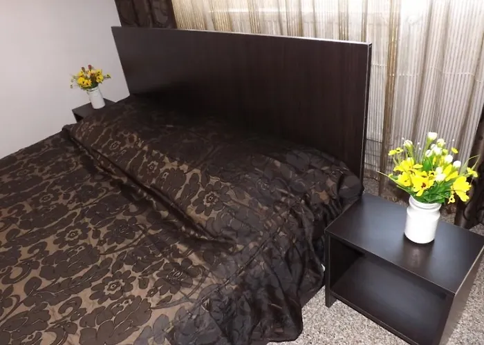 بيت ضيافة Casa Dobrescu Centura De Nord 3*